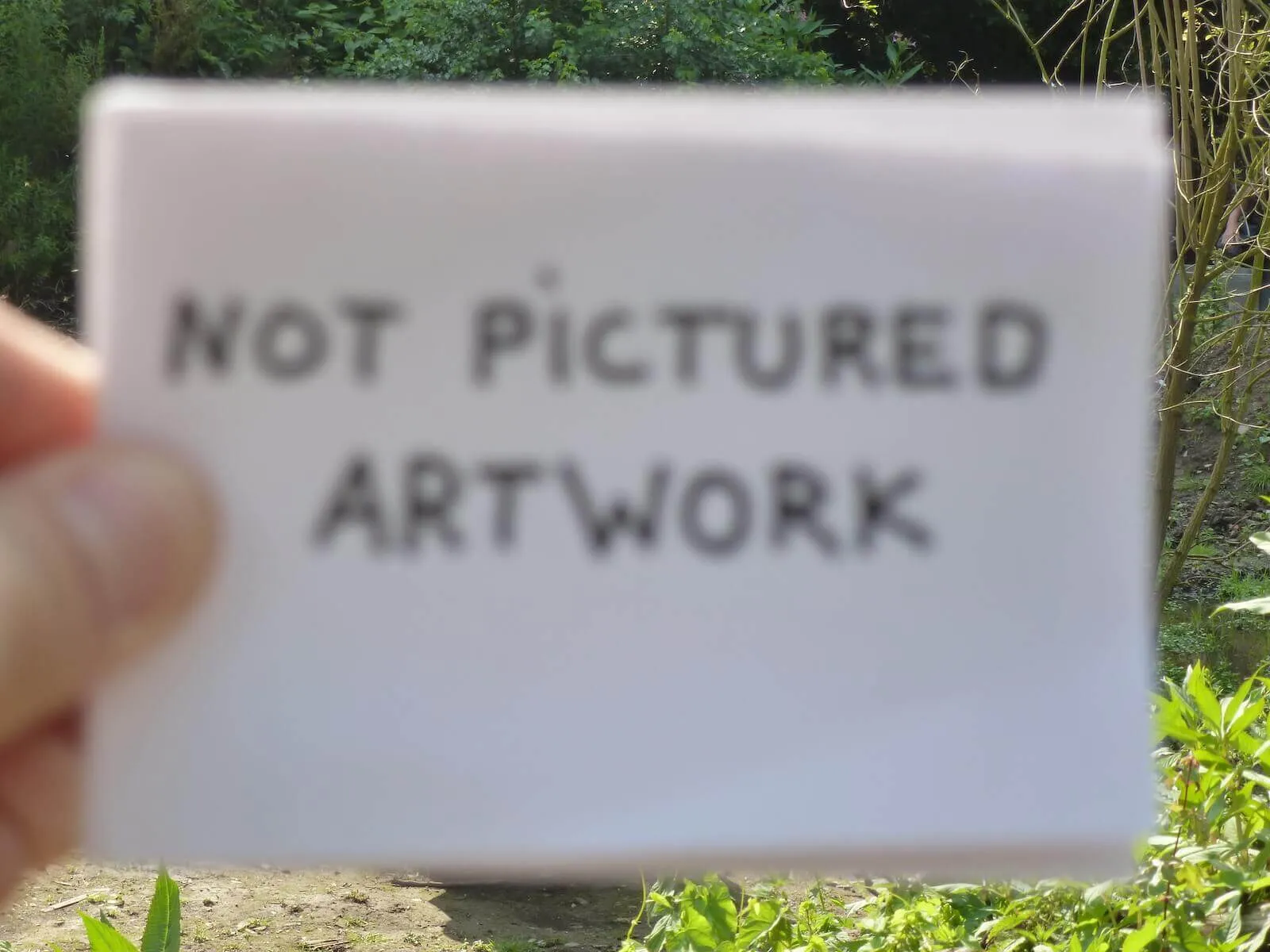 Not pictured, Cassel, 2012